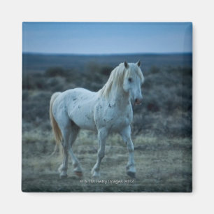 Aimant le Wyoming, Etats-Unis d'Amérique