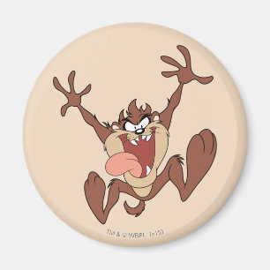 Aimant Leapage TAZ™