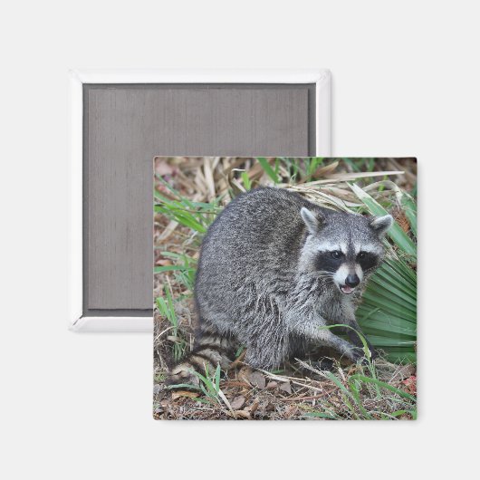 Aimant Leave Me Alone (Recto/Verso)