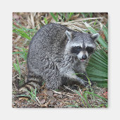 Aimant Leave Me Alone (Devant)