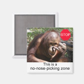 Aimant Leçons sur la vie animale no 1 (Recto/Verso)