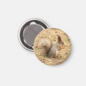 Aimant L'écureuil mignon mange une photo de noix (Recto/Verso)