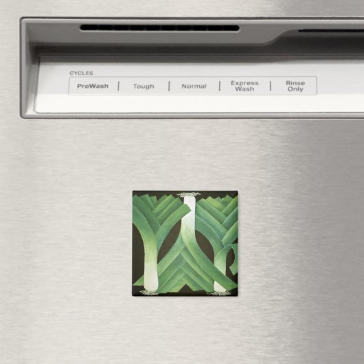 Aimant Leeks 2014 (In Situ (Lave-vaisselle))