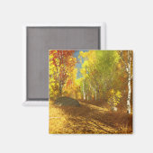 Aimant léger en chute (Recto/Verso)