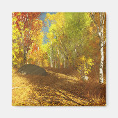 Aimant léger en chute (Devant)