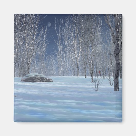 Aimant léger silencieux (Devant)