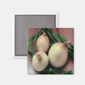 Aimant Légumes (Recto/Verso)