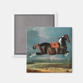Aimant L'élevage du cheval "Cehero" (Recto/Verso)