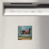 Aimant L'élevage du cheval "Cehero" (In Situ (Lave-vaisselle))
