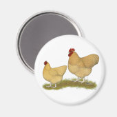 Aimant Lemon Cuckoo (Recto/Verso)