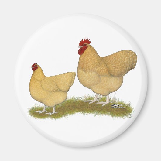 Aimant Lemon Cuckoo (Devant)