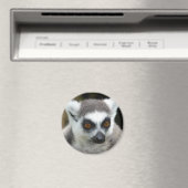 Aimant Lemur (In Situ (Lave-vaisselle))