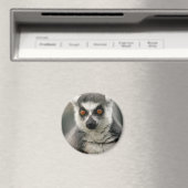 Aimant Lemur (In Situ (Lave-vaisselle))