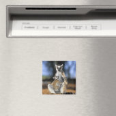 Aimant Lémur catta, (Lemur catta), Mère et (In Situ (Lave-vaisselle))