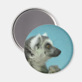 Aimant Lemur Classic (Recto/Verso)