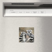 Aimant lémuriens (In Situ (Lave-vaisselle))