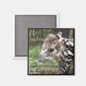 Aimant Leo le Tapir andin (Recto/Verso)