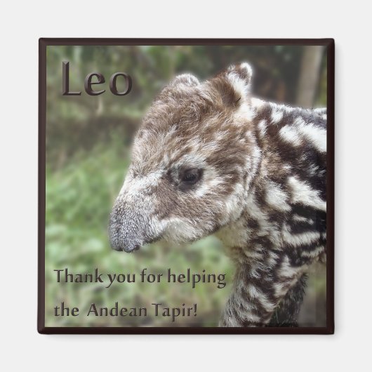 Aimant Leo le Tapir andin (Devant)