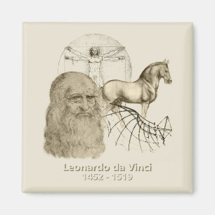 Aimant Léonard de Vinci