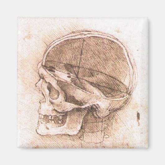 Aimant Léonard de Vinci Crâne Anatomie Art (Devant)