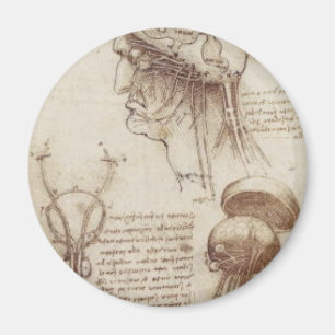 Aimant Leonardo da Vinci - physiologie de cerveau