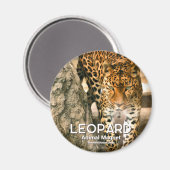 Aimant Leopard (Recto/Verso)