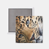 Aimant Leopard (Recto/Verso)