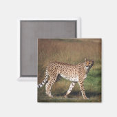 Aimant Leopard dans la plaine (Recto/Verso)