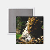 Aimant Leopard de bain (Recto/Verso)