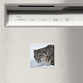 Aimant Léopard des neiges (In Situ (Lave-vaisselle))