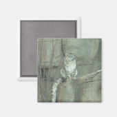 Aimant léopard des neiges (Recto/Verso)