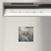 Aimant léopard des neiges (In Situ (Lave-vaisselle))