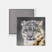 Aimant Léopard des neiges (Recto/Verso)