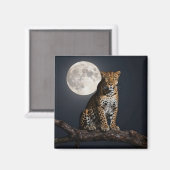 Aimant Léopard Majestueux et Pleine Lune (Recto/Verso)