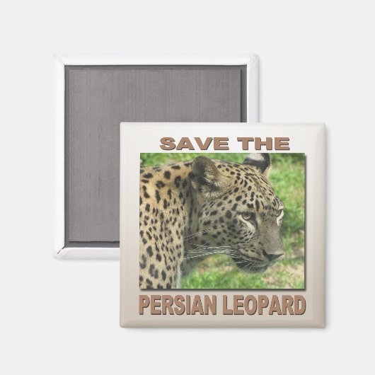Aimant Léopard persan (Recto/Verso)