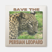 Aimant Léopard persan (Devant)