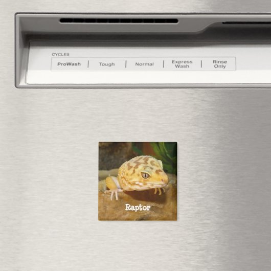 Aimant Leopard personnalisé Gecko Lizard (In Situ (Lave-vaisselle))