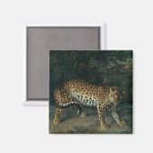 Aimant Leopardess (par Jean-Baptiste Oudry) (Recto/Verso)