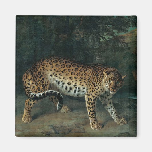 Aimant Leopardess (par Jean-Baptiste Oudry) (Devant)