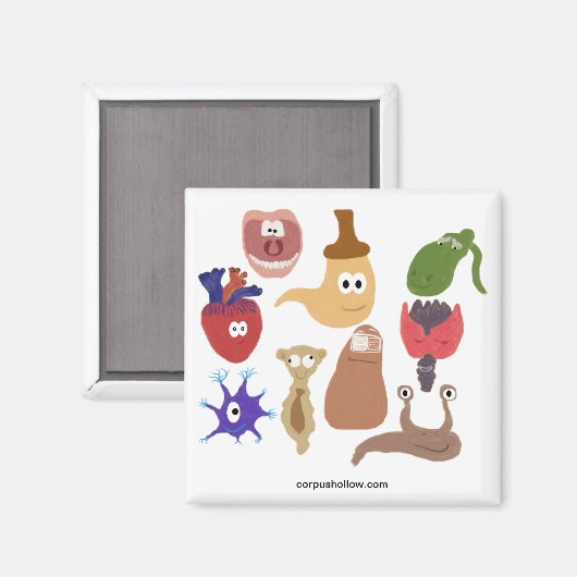 Aimant L'équipage occupé de Corpus Hollow (Recto/Verso)