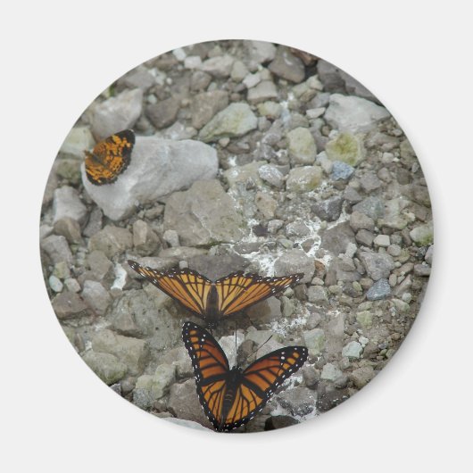 Aimant Les 3 papillons (Devant)