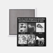 Aimant Les 6 parasites les plus dangereux et infectieux (Recto/Verso)