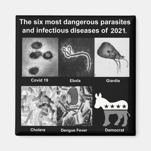 Aimant Les 6 parasites les plus dangereux et infectieux (Devant)