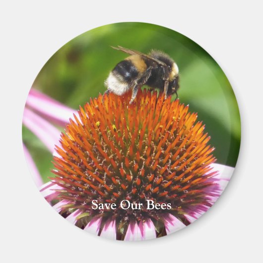 AIMANT LES ABEILLES (Devant)