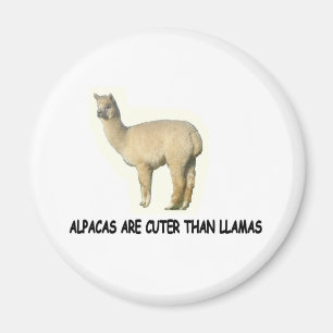 Aimant Les alpacas sont plus mignons que les lamas
