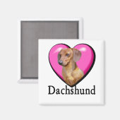 Aimant Les amateurs de Dachshund Valentines (Recto/Verso)