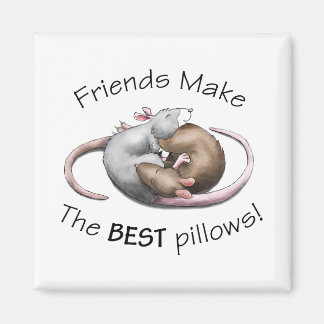 Aimant Les amis font les MEILLEURS oreillers !