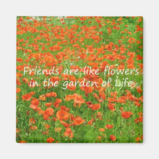 Aimant Les Amis Sont Comme Des Fleurs (Devant)