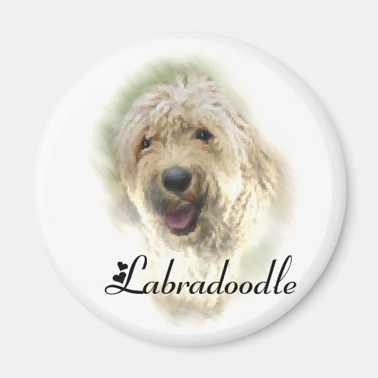Aimant Les amoureux du Labradoodle (Devant)