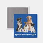 Aimant Les animaux secourus sont les meilleurs (Recto/Verso)